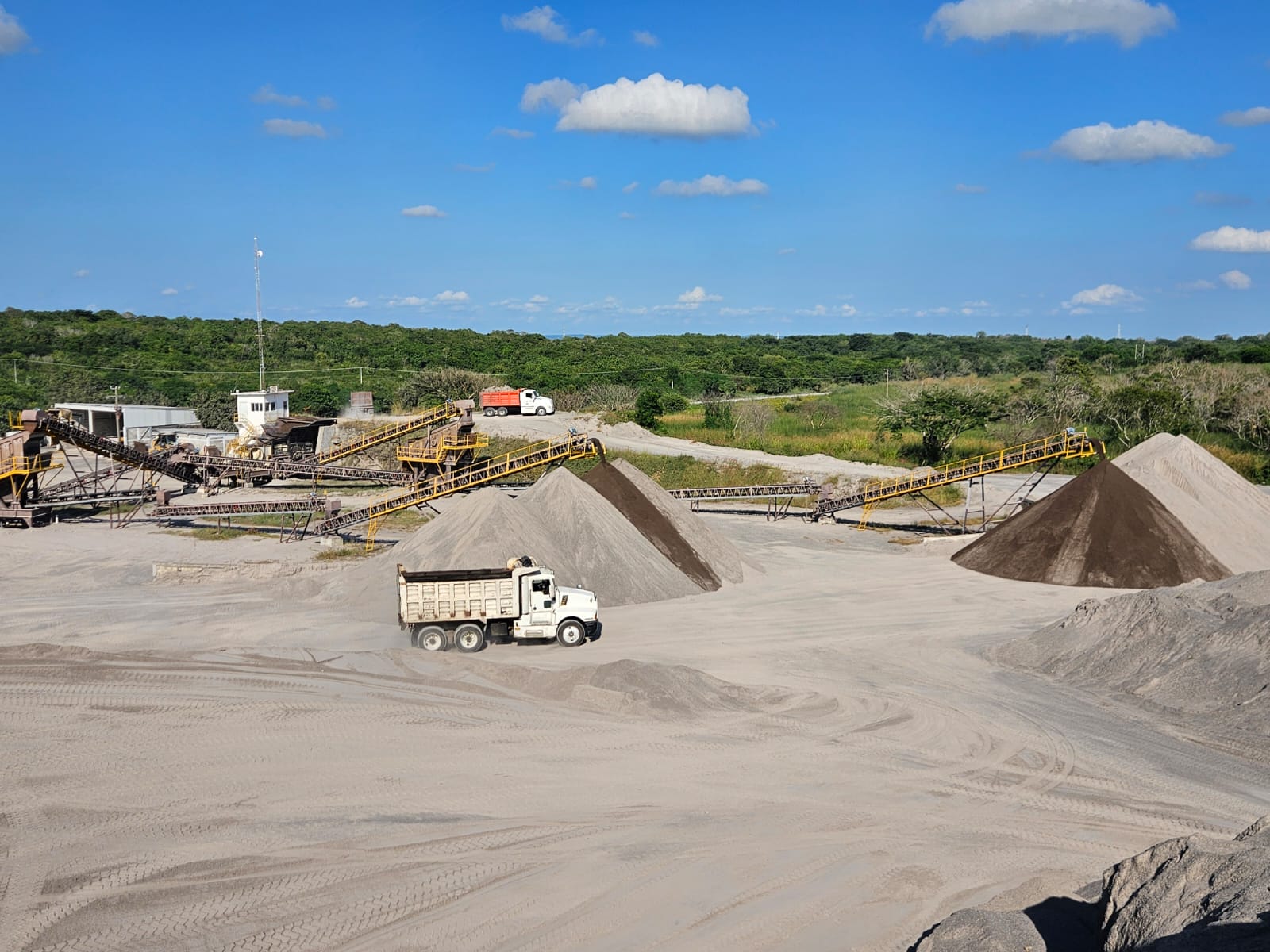 WhatsApp Image 2025-11-13 at 6.51.26 PM